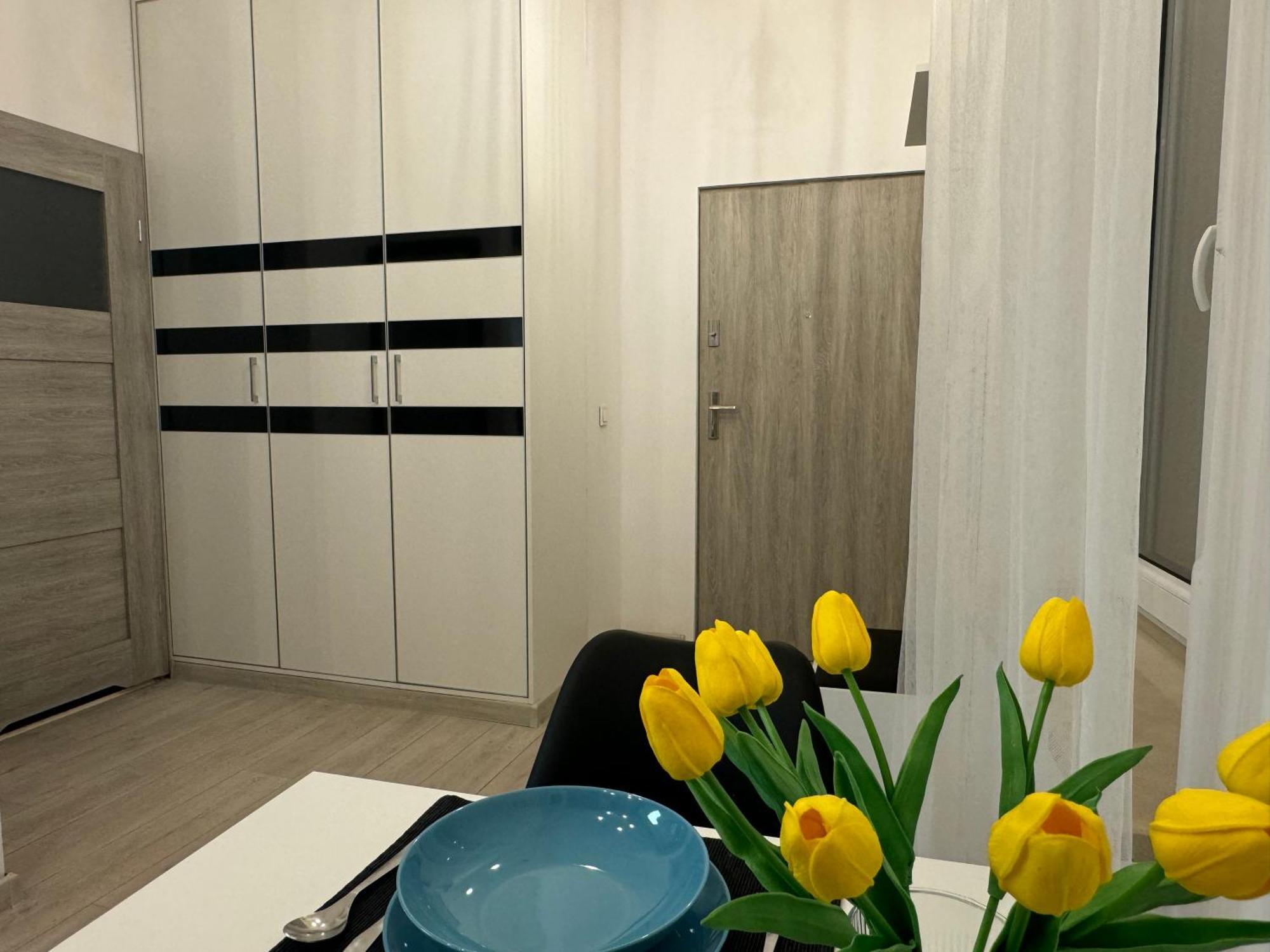 Salwator Loft Daire Krakow Dış mekan fotoğraf