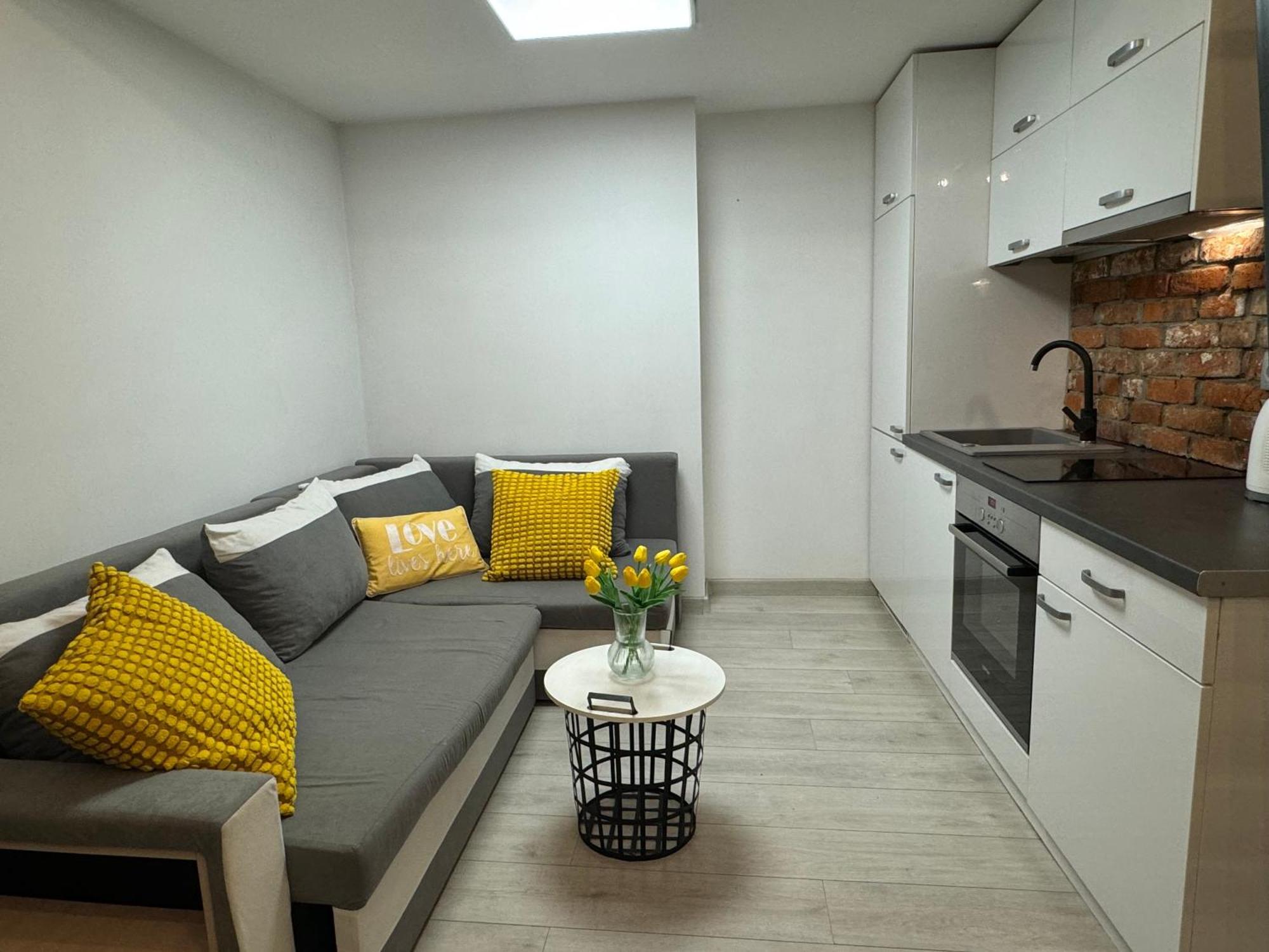 Salwator Loft Daire Krakow Dış mekan fotoğraf